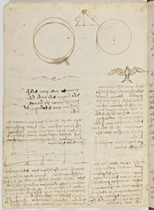 鳥のフライトコード、c。 1505-06、紙の原稿、CC。 18、シート4面 作： Leonardo da Vinci